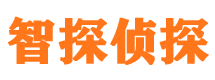 安化外遇出轨调查取证